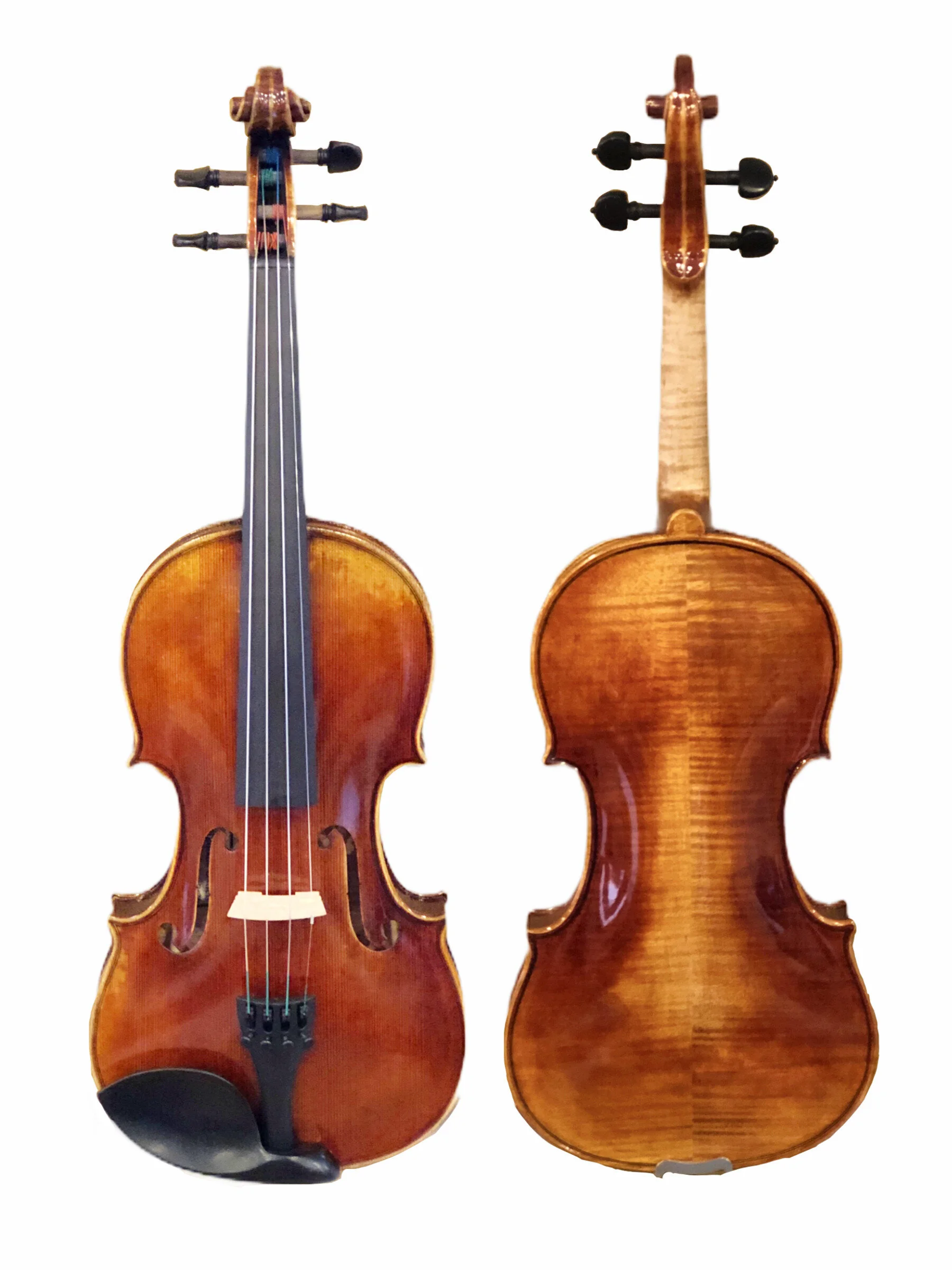 Violin Inventory — Terra Nova Violins